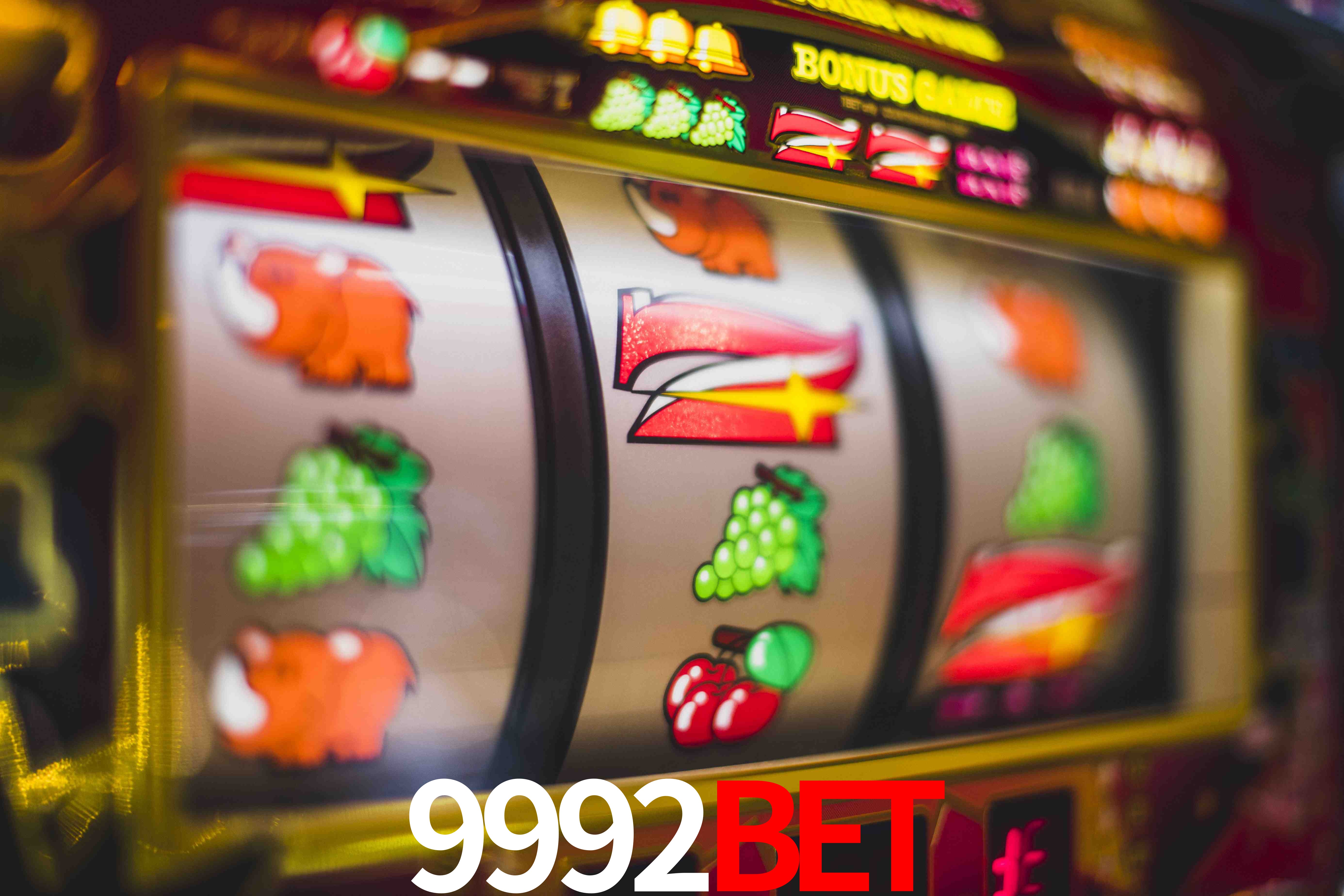 Statistics 9992Bet